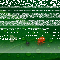Schlangen-/Vogelmilben
