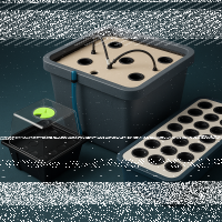 Hydrocultur Anzuchtsysteme