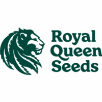 Royal Queeen Seeds