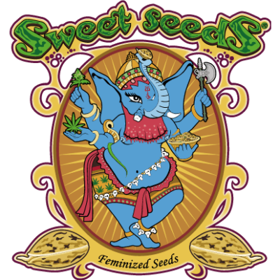 Hersteller: Sweet Seeds