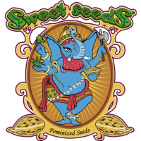Hersteller: Sweet Seeds