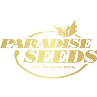 Hersteller: Paradise Seeds