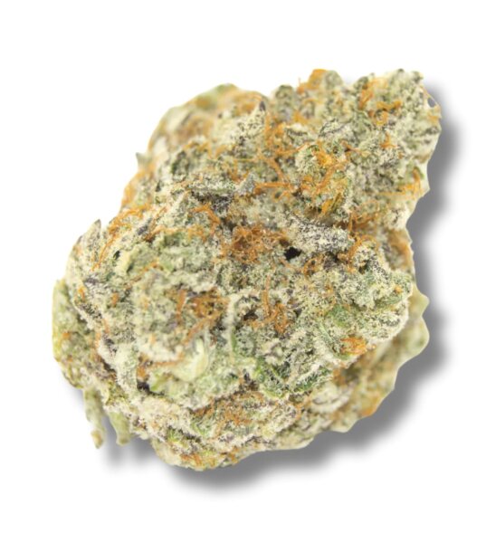 Growers Choice Permanent Whitemarker Fem 3St.