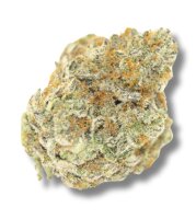 Growers Choice Permanent Whitemarker Fem 3St.