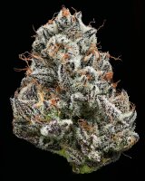 Barneys Farm Black Cherry Gushers Fem 3St.