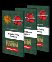 Barneys Farm Black Cherry Gushers Fem 3St.
