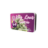 Growers Choice King Louis Garcia Fem 3St.