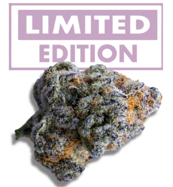 Growers Choice Platinum Mimosa Cookies XXL Auto Fem 3St.