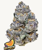 Fast Buds Rainbow Melon Fem 3St.