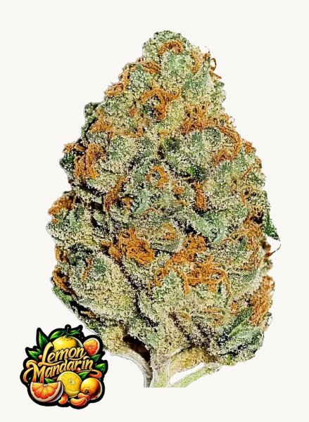 Fast Buds Lemon Mandarin Fem 3St.