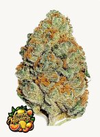 Fast Buds Lemon Mandarin Fem 3St.