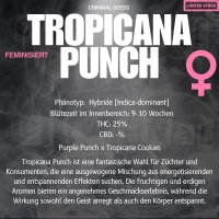 Criminal Seeds Tropicana Punch x Cali Fem 3St.