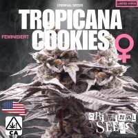 Criminal Seeds Tropicana Cookies x Cali Fem 3St.