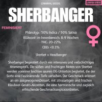 Criminal Seeds Sherbanger x Cali Fem 3St.