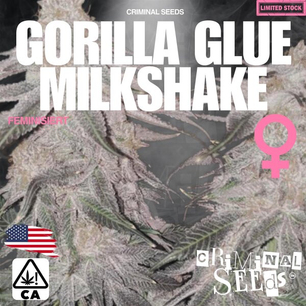 Criminal Seeds Gorilla Glue Milkshake X Cali Fem 3St.