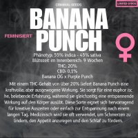 Criminal Seeds Banana Punch Fem 3St.