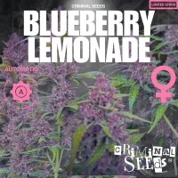 Criminal Seeds Blueberry Lemonade Auto Fem 3St.