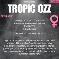 Criminal Seeds Trop Ozz Cali Limited Fem 3St.