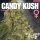 Criminal Seeds Candy Kush Fem 3St.