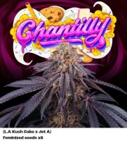 Perfect Tree Chantilly X6 Fem 6St.