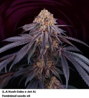 Perfect Tree Chantilly X6 Fem 6St.