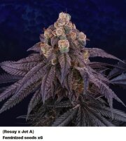 Perfect Tree Red Red Wine Fem 6St.