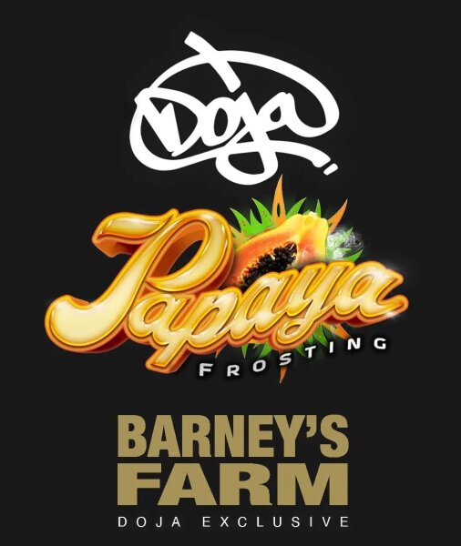 Barneys Farm x DOJA Papaya Frosting Fem 3St.