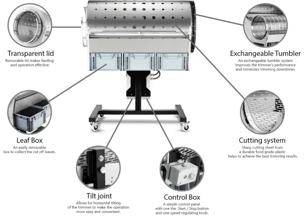Sunflower - Dry Trimmer XL