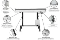Sunflower - Conveyor IN
