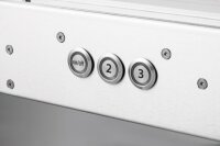 Sunflower - Conveyor OUT