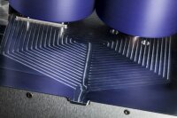 Sunflower - Bucker L