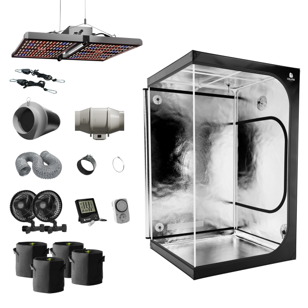 Caluma Set - 4 Plants (120 x 120, 320 W)