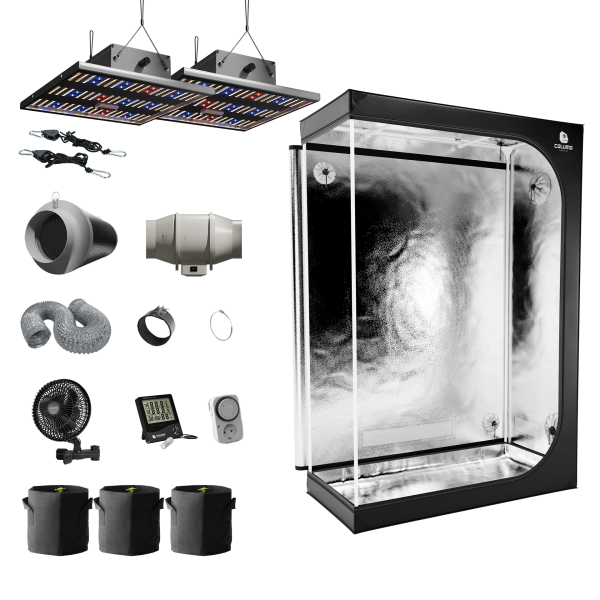 Caluma Set Ambient - 3 Plants Plus (60 x 120 cm, 2 x 150 W)