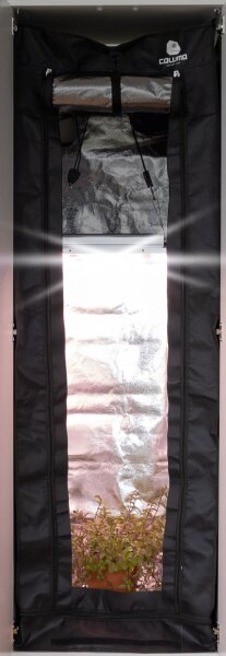 Caluma Readymade 100 Ersatzzelt