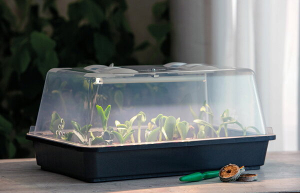 Romberg Gewächshaus Lumio M LED