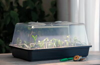 Romberg Gewächshaus Lumio M LED