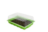 Eazy Plug Stecklings und Gewächshausset 24Stk.