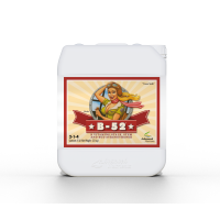 Advanced Nutrients - B-52®