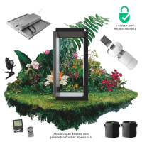 Caluma Set - 2 Plants Premium (80 x 80 cm, 150 W)