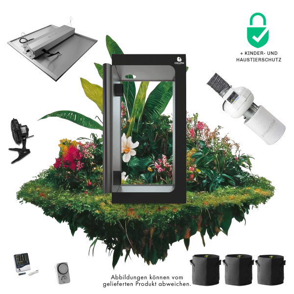 Caluma Set - 3 Plants Premium (100 x 100 cm, 240 W)