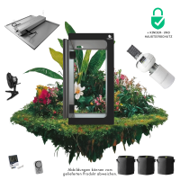 Caluma Set - 3 Plants Premium (100 x 100 cm, 240 W)