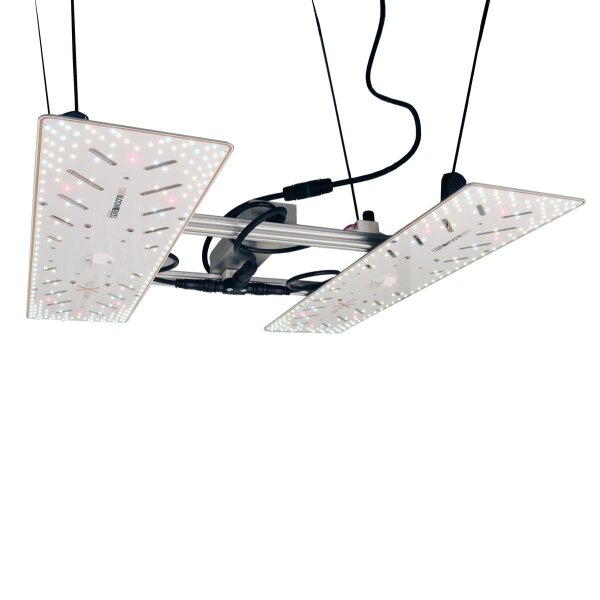 BloomStar Wingman 600L 220W