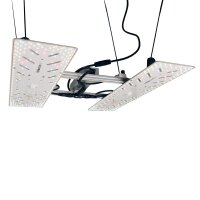 BloomStar Wingman 600L 220W