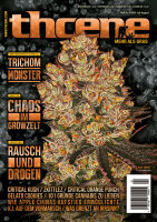 THCENE Magazin