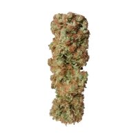 Royal Queen Seeds Candy Kush Express Fast Fem. 3St.