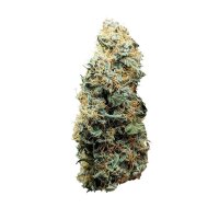 Royal Queen Seeds Titan F1 Auto Fem. 3St.