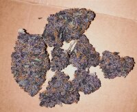 Fast Buds LSD-25 Auto Fem. 3St.