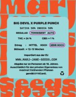 Marj Jane Big Devil X Purple Punch Auto Fem. 3St.
