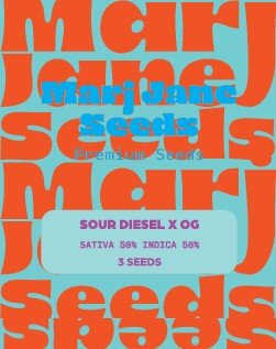 Marj Jane Sour Diesel X OG Fem. 3St.