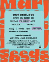 Marj Jane Sour Diesel X OG Fem. 3St.